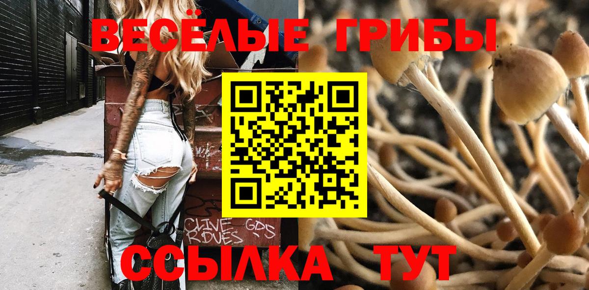 Галлюциногенные грибы GOLDEN TEACHER Ростов Великий
